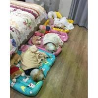 ราคา ที่นอนสัตว์เลี้ยง ที่นอนหมา ที่นอนแมว ที่นอนหมาใหญ่ เบาะนอนสุนัข แบบซักเครื่องได้ นุ่มพิเศษ รองรับทุกสายพันธุ์ ถูกที่สุด (1730284381865674831)