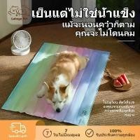 ราคา 【พร้อมส่ง】CODสัตว์เลี้ยง ที่นอนเจลเย็น แผ่นเจลเย็น เบาะนอนเย็น ที่นอนเย็น สำหรับสัตว์เลี้ยง ที่นอนสัตว์เลี้ยง แผ่นเจลเย็นแมวสุนัข แมวและสุนัขที่เหมาะสมสัตว์เลี้ยงอื่น ๆ บ้ (1730860430180452625)