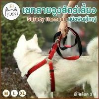ราคา KUMAま SETสายจูงสัตว์เลี้ยง Safety Harness หนาพิเศษ สายจูงหมาใหญ่ สายจูงรัดอก สุนัขพันธุ์ใหญ่ สายจูงแมวใหญ่ ปลอกคอ (1732291621526931402)