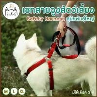 ราคา KUMAま SETสายจูงสัตว์เลี้ยง Safety Harness หนาพิเศษ สายจูงหมาใหญ่ สายจูงรัดอก สุนัขพันธุ์ใหญ่ สายจูงแมวใหญ่ ปลอกคอ (1731863513535382541)