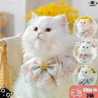 ราคา อุปกรณ์สำหรับสัตว์เลี้ยง อาหารแมวสูตรไร้ อาหารสุนัขลดน้ำหนัก อาหารแมวไทยหลังอาน ขนมสุนัขขัดฟัน ปลอกคอ ผ้าพันคอ พิมพ์ลายลูกไม้ ประดับโบว์ ดอกไม้ สามารถปรับได้ สําหรับสัตว์เลี้ยง สุนัข แมว (173215252144