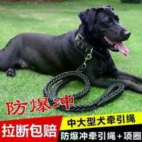 ราคา สายจูงสุนัข สำหรับสุนัขขนาดใหญ่และขนาดกลาง เช่นโกลเด้น รีทรีฟเวอร์ และเยอรมันเชพเพิร์ด สายจูงโซ่ ปลอกคอ อุปกรณ์สำหรับสัตว์เลี้ยง ขายดี (1732425191776224704)