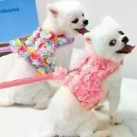 ราคา สายจูงสัตว์เลี้ยงลายดอกไม้ สายรัดหน้าอก ลายดอกไม้ สายจูงสัตว์เลี้ยง เสื้อผ้าสัตว์เลี้ยง เสื้อสุนัขลสยดอกไม้พร้อมสายจูง (1729617474489255990)