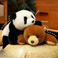 ราคา 【ส่งฟรี】 ตุ๊กตา Papa ตุ๊กตาหมี ตุ๊กตาหมีแพนด้า (1732595869648782740)