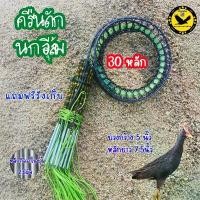 ราคา Panyaasa ครืนดักนกอีลุ้ม บ่วงดักนกอีลุ้ม 30หลัก30บ่วง บ่วงเดี่ยว บ่วงกว้าง5นิ้ว หลักยาว7.5นิ้ว หลักกัลวาไนซ์ แถมฟรีรังเก็บ บล็อกบัสเตอร์ ขายดี เครื่อง แต่ง หัวคิว 14 ตู้ ตัก ปล (1732474538293626156)