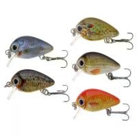 ราคา ชุดรอกตกปลาเหยื่อเบส อุปกรณ์ตกปลาน้ำจืด เหยื่อตกปลา (1729754846424566552)