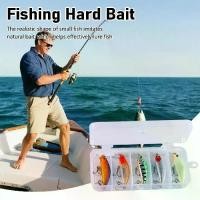 ราคา เหยื่อตกปลาเรืองแสง 5 ชิ้น/เซ็ต 6 ซม. จำลอง 3 มิติ อุปกรณ์ตกปลา เหยื่อตกปลาจม เหยื่อตกปลาปลอม น้ำหนัก 5.4 กรัม สามตะขอ เหยื่อตกปลาหรูหรา เหยื่อตกปลา (1732661971910493481)