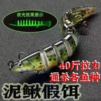 ราคา เหยื่อปลาชุดมัลติคอร์สไบโอนิค ลอยน้ำไกล เหยื่อปลาหางนกยูง เบส ปลาฉลามพิเศษ เหยื่อตกปลา2025 (1732076464000632808)