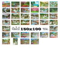 ราคา โปสเตอร์ วิว จัมโบ้ ขนาด 150X100 ซม. (36แบบ) ใหญ่ พิเศษ ธรรมชาติ น้ำ ทะเล ต้น ดอกไม้ ภูเขา รูป มงคล ติดผนัง สวยๆ poster (1731927746273838746)