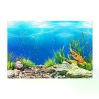 ราคา พื้นหลังมหาสมุทร, เอฟเฟกต์ 3D, สำหรับตู้ปลา, วัสดุพีวีซี, โลกใต้น้ำ, ตกแต่งตู้ปลา, ฉากหลังกันน้ำ, โปสเตอร์, วอลล์เปเปอร์, สติ๊กเกอร์ภูมิทัศน์ (1732069563117308852)