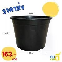 ราคา ต้นไม้ กระถางต้นไม้ กระถางพลาสติก เบอร์ 6 5.7 นิ้ว สีดำ 100 ใบ ยกมัด ยกกระสอบ ขนาด 4.1x3.8x5.7 นิ้ว ราคาส่ง 163.- คุณภาพสากลชามเมลามีนชุดจานชามครบเซ็ตน่ารักๆ (1732084994248443625)