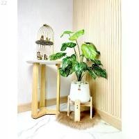 ราคา ต้นไม้ปลอมพร้อมกระถาง ครบชุด(กระถาง7นิ้ว+ต้นไม้70ซม.+ขากระถาง8นิ้ว)ต้นไม้ปลอมมินิมอล ต้นไม้ปลอมตั้งโต๊ะ ต้นไม้ปลอมแต่งห้ คลังสินค้า (1732472006814762403)