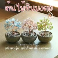 ราคา ต้นไม้ หินมงคล เสริม ฮวงจุ้ย โชคลาภ ร่ำรวย ความสูง 11 CM ของมงคล ของขวัญ ต้นไม้มงคล อเมทิสต์ โรสควอตซ์ ต้นไม้ปลอม (1731781353634563483)