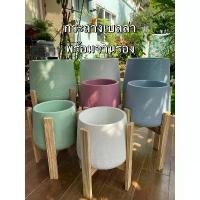 ราคา กระถางสีพลาสเทล เบลล่าขาว โมเดิร์น ต้นไม้ 12 นิ้ว ถูกที่สุด ขายร้อน (1732146858944989974)