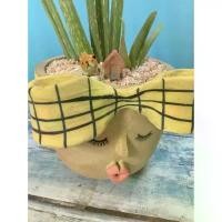 ราคา กระถางน้องโบว์เหลือง กระถางดินเผา กระถางปั้นมือ กระถางต้นกระบองเพชร กระถาง กระถางน่ารัก กระถางสวย ต้นไม้ กระถางแคคตัส สินค้ามาใหม่ประจำเดือนนี้ (1732556005416600872)