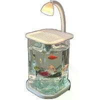 ราคา ตู้ปลา เบตต้า อัลตร้าไวท์ เล็ก ถังแก้วขี้เกียจ เหมาะสำหรับห้องนั่งเล่น เครื่องประดับเดสก์ท็อปสร้างสรรค์ โคมไฟดู หิน คริสตัล ใส่ เรือ ตกแต่ง ไม้ น้ํา อ่าง ปลา ปลากัด ป่า อีสาน สวย (1731855596166219291)