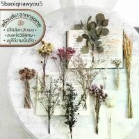 ราคา Mini Bouquet-Assorted ช่อดอกไม้ ใบไม้ ธัญพืชแห้ง | อบ แห้ง ธัญพืช ต้นไม้ ดอกไม้ ใบไม้ ไม้เลื้อย ไม้ประดับกิ่ง (1732518491596818343)