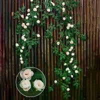 ราคา ตกแต่งตะกร้าแขวน, ดอกไม้ประดิษฐ์สัมผัสจริง, 54/60 หัว, ผ้าไหม, ดอกกุหลาบปลอม, พืชเถาวัลย์และใบไม้, ตกแต่งช่อดอกไม้, ตกแต่งระเบียง ต้นไม้ แขวน ประดับ บ้าน (1732234862976404451)