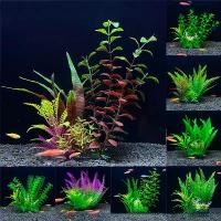 ราคา พืชน้ำประดิษฐ์, ดอกไม้พลาสติก, ตกแต่งตู้ปลา, เครื่องประดับภูมิทัศน์, พิพิธภัณฑ์สัตว์น้ำ, ดอกไม้ปลอม, ทิวทัศน์ ไม้ น้ํา ตู้ปลา ต้นไม้ น้ํา สําหรับ ตู้ปลา (1732067204654138626)