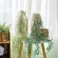 ราคา หญ้าลมประดิษฐ์, การจัดดอกไม้, 91 ซม., พืชสีเขียว, พลาสติกหรูหรา, พืชปลอม, ความรู้สึกจริง, ทำด้วยมือ, หญ้าเถาวัลย์ประดิษฐ์, เหมาะสำหรับฉ่ำ, ตกแต่งบ้านและสำนักงาน ต้นไม้ แขวน ประดับ บ้าน (17322801918877