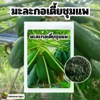 ราคา เมล็ดพันธุ์ มะละกอเตี้ยชุมแพของแท้ บรรจุ 50 เมล็ด พร้อมวิธีเพาะปลูก (1730436714337897203)