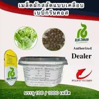 ราคา สินค้าดี เมล็ดพันธุ์ ผักสลัดเบบี้คอส , กรีนคอส 1,000 เมล็ด (1731676257914685208)