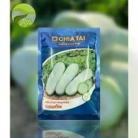 ราคา เมล็ดพันธุ์ แฟงจอมทัพ ลอตใหม่ ล่าสุด️️ (1731934449913464711)