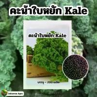 ราคา เมล็ดพันธุ์ คะน้าใบหยัก Kale บรรจุ 200 เมล็ด (1730815178182134515)