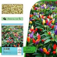ราคา ประมาณ 100 เมล็ด เมล็ดพันธุ์ พริกสีรุ้ง พริก 7 สี พริกสีรุ้ง พริกประดับ เมล็ดพันธุ์แตงกวาพวง ลูก ฤดูร้อน AA-12 (1731089564418935158)