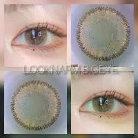 ราคา คอนแทคเลนส์ สีน้ำตาล (Solona, Jamille 14.5) สายฝอ (สายตา 00 ถึง -1000) คอนแทคเลนส์ (1729583116217715084)