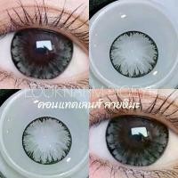 ราคา Crystal maiden ,Tommy ,Gray Brown คอนแทกเลนส์ (ลายหิมะ) (สายตา -50 ถึง -700) คอนแทคเลนส์ Contactlens (1729576235815242124)