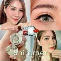 ราคา Shimmer gray/brown, big eye, Contactlens ตาใสปิ๊ง, ตาโต คอนแทคเลนส์ (1730320400529132500)