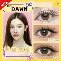 ราคา คอนแทคเลนส์ สีมาใหม่!!! Mini Dawn Light Brown/Brown / Gray (Kitty Kawaii) ขนาดมินิ (1732476209883284500)