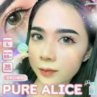 ราคา คอนแทคเลนส์ ขนาดบิ๊กอายโตมาก รุ่น Pure alice : Shinee สี Brown/Gray (1729765304818436707)