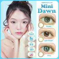 ราคา *มีสายตา* Mini Dawn เทา/น้ำตาล/น้ำตาลสว่าง (Kitty Kawaii) ขนาดมินิ เท่าตา ตัดขอบ คอนแทคเลนส์ ค่าอมน้ำสูง (1729888973660981813)