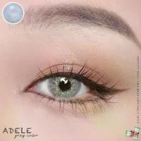 ราคา PrettyDoll คอนแทคเลนส์ รุ่น Adele สี Brown & Gray สำหรับสายตา 0.00 ถึง -6.00 เลนส์นิิ่มใส่สบายตา พร้อมตลับคอนแทคเลนส์ (1729631804827994682)