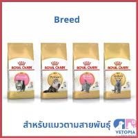 ราคา lirocoshop คุณภาพรับประกันได้ Royal Canin 400 g kitten persian,persian,kitten british shorthair & สำหรับแมวเปอร์เซีย และ แมวบริติช เค้ก ให้ กิน (1730370219849844973)