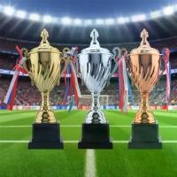 ราคา ถ้วยรางวัลอนุสรณ์, การแข่งขรูฟ, ถ้วยรางวัลบรอนซ์, ถ้วยรางวัลทีม, ถ้วยรางวัลกีฬา, ถ้วยรางวัลกีฬา, 35/32/29 ซม., ของที่ระลึก (1732398022713705804)