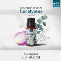 ราคา น้ำมันหอมระเหย 100% (ยูคาลิปตัส + หอมแดง) Eucalyptus Essential Oil & Shallot 10ml. (โอบอวล) (1732162342574851296)