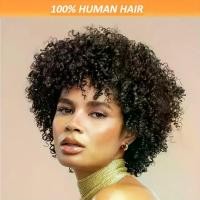 ราคา วิกผมหยิกสั้น ผมมนุษย์จริง สำหรับผู้หญิง ความหนาแน่น 200% หมวกตาข่ายกุหลาบเทียม ไม่มีลูกไม้ วิกผมเต็ม ดูเป็นธรรมชาติ เหมาะสำหรับงานปาร์ตี้และสวมใส่ทุกวัน ทุกเชื้อชาติ วิกผมสั้น เครื่องประดับผม (173133