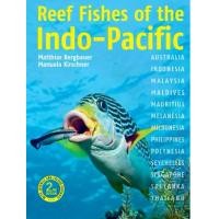 ราคา DKTODAY หนังสือ REEF FISHES OF THE INDO-PACIFIC (JOHN BEAUFOY) (1731261289934914996)