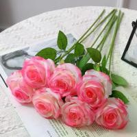 ราคา ดอกกุหลาบประดิษฐ์ 12 ชิ้น ดูสมจริง สีสดใส ไม่ซีดจาง ช่อดอกไม้กุหลาบเทียม เหมาะสำหรับตกแต่งงานแต่งงาน (1731823300248308230)