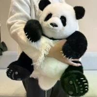 ราคา ตุ๊กตาหมีแพนด้ายักษ์, ตุ๊กตาของเล่นตุ๊กตา, การจำลอง, ขนาดเล็ก, สีฟ้าน่ารัก, การออกแบบเซเว่นดาราอินเทอร์เน็ต, ของขวัญที่ดี (1731329059199289040)