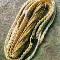 ราคา ตะกรุดหลวงพ่อสุด วัดกาหลง (1731326185776514891)