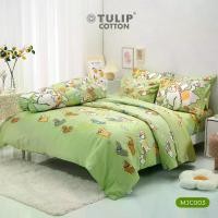 ราคา พร้อมส่ง. (NEW) TULIP หมาจ๋า Cotton 100% MJC003 ลิขสิทธิ์แท้หมาจ๋า ผ้าคอตตอน ชุดเครื่องนอน ผ้าปูที่นอน ผ้าห่มนวม (1731417434488342352)