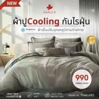 ราคา MAPLE'S ผ้าปู Satin-Silk รุ่นCooling 990เส้น รัดมุม กันไรฝุ่น เย็นสบาย ซาตินผ้าไหม ผ้าห่ม bedsheet (1731244727825827307)