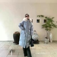 ราคา เสื้อแจ็คเก็ตขนเป็ดสีขาว 90 กรัมมาตรฐานแห่งชาติใหม่ Lu Yi Yi สำหรับผู้หญิงฤดูหนาว 2024 ขนเป็ดจิ้งจอกหนา ส่วนยาว ขายส่ง เสื้อโค้ท (1731613936180955778)