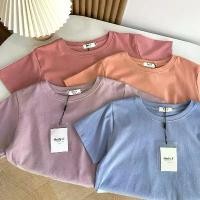 ราคา เสื้อยืดสาวพลัสไซส์ ผ้าไบทอง ผ้าฝ้ายวีไอพี ยืดเยอะ สไตล์ครอป เสื้อยืด (1731419019350672552)
