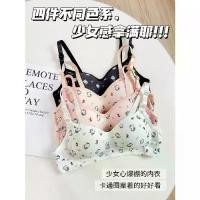 ราคา บรา บาง สไตล์ญี่ปุ่น น่ารัก สำหรับผู้หญิง เหมาะสำหรับหน้าอกเล็ก ดันทรง ไร้สาย ใส่สบาย ระบายอากาศได้ดี เหมาะสำหรับนักเรียน มัธยมต้น และมัธยมปลาย Clothing เสื้อผ้า Women (1731838352065137274)