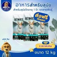 ราคา guitarSHOP19 ใช้งานได้ อาหารสุนัข Pro Pac Bayside Select (Grain Free!)_เขียวทะเล 12kg. (1731434369281395441)